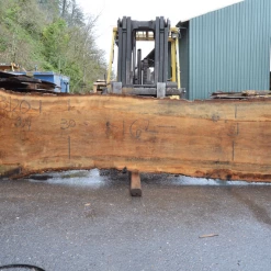 Goby Walnut Green Slabs Oregon White Oak Slab 013120-01