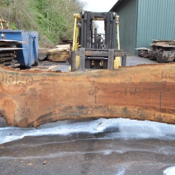 Goby Walnut Green Slabs Oregon White Oak Slab 013120-02