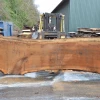 Goby Walnut Green Slabs Oregon White Oak Slab 013120-04