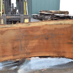 Goby Walnut Green Slabs Oregon White Oak Slab 013120-04