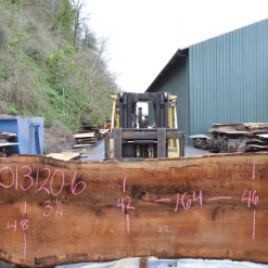 Goby Walnut Green Slabs Oregon White Oak Slab 013120-06