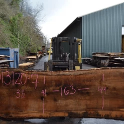 Goby Walnut Oregon White Oak Slab 013120-07 Green Slabs