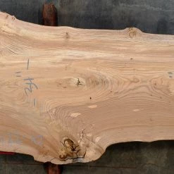 Goby Walnut Green Slabs Elm Slab 013122-10