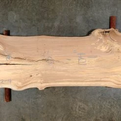 Goby Walnut Elm Slab 013122-4