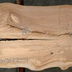 Goby Walnut Elm Slab 013122-4