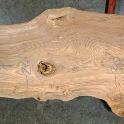 Goby Walnut Elm Slab 013122-8 Green Slabs