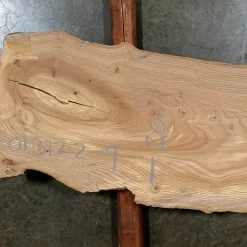 Goby Walnut Elm Slab 013122-9 Green Slabs