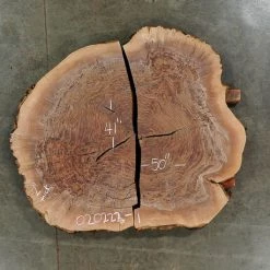 Goby Walnut Oregon Black Walnut Burl Round 020222-1 Kiln Dried Slabs