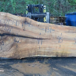 Goby Walnut Products 020419-06 Big Leaf Maple Slab