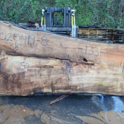 Goby Walnut Products 020419-08 Big Leaf Maple Slab Green Slabs