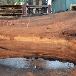 Goby Walnut Products Elm Slab 020718-07 Green Slabs