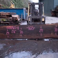Goby Walnut Products Oregon Black Walnut Slab 020921-01
