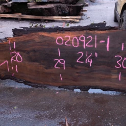 Goby Walnut Products Oregon Black Walnut Slab 020921-01