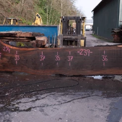 Goby Walnut Products Green Slabs Oregon Black Walnut Slab 020921-02