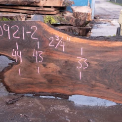 Goby Walnut Products Green Slabs Oregon Black Walnut Slab 020921-02