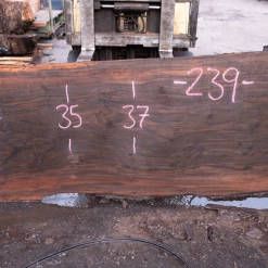 Goby Walnut Products Green Slabs Oregon Black Walnut Slab 020921-02