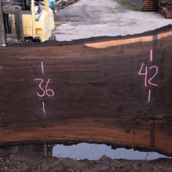Goby Walnut Products Green Slabs Oregon Black Walnut Slab 020921-02