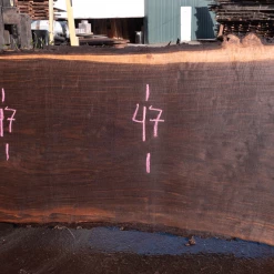Goby Walnut Products Green Slabs Oregon Black Walnut Slab 020921-04