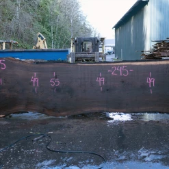 Goby Walnut Products Oregon Black Walnut Slab 020921-05 Green Slabs