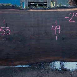 Goby Walnut Products Oregon Black Walnut Slab 020921-05 Green Slabs