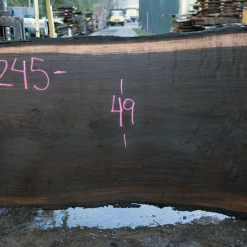 Goby Walnut Products Oregon Black Walnut Slab 020921-05 Green Slabs