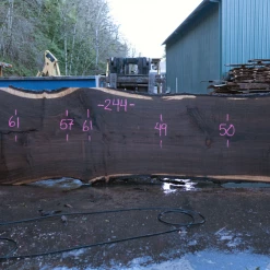 Goby Walnut Products Green Slabs Oregon Black Walnut Slab 020921-06