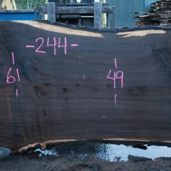 Goby Walnut Products Green Slabs Oregon Black Walnut Slab 020921-06