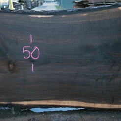 Goby Walnut Products Green Slabs Oregon Black Walnut Slab 020921-06