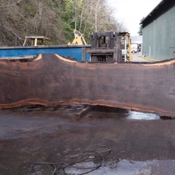 Goby Walnut Products Oregon Black Walnut Slab 020921-08 Green Slabs