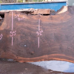 Goby Walnut Products Oregon Black Walnut Slab 020921-08 Green Slabs