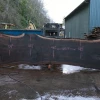Goby Walnut Products Oregon Black Walnut Slab 021021-02 Green Slabs