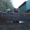 Goby Walnut Products Oregon Black Walnut Slab 021021-03 Green Slabs