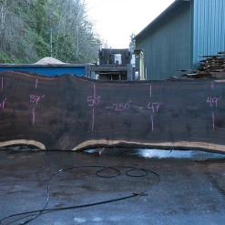 Goby Walnut Products Green Slabs Oregon Black Walnut Slab 021021-04