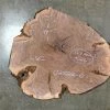 Goby Walnut Oregon Black Walnut Burl Round 021022-10