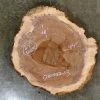 Goby Walnut Oregon Black Walnut Burl Round 021022-13