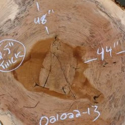 Goby Walnut Oregon Black Walnut Burl Round 021022-13