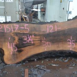 Goby Walnut Products Oregon Black Walnut Slab 021517-05 Green Slabs