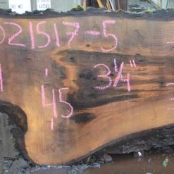 Goby Walnut Products Oregon Black Walnut Slab 021517-05 Green Slabs