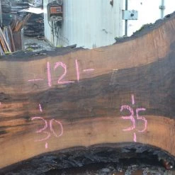 Goby Walnut Products Oregon Black Walnut Slab 021517-05 Green Slabs