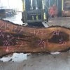 Goby Walnut Products Green Slabs Oregon Black Walnut Slab 021517-07
