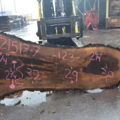 Goby Walnut Products Green Slabs Oregon Black Walnut Slab 021517-07