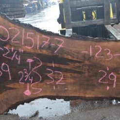 Goby Walnut Products Green Slabs Oregon Black Walnut Slab 021517-07