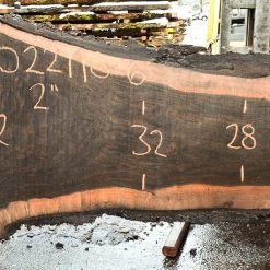 Goby Walnut Products Oregon Black Walnut Slab 022118-06