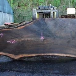 Goby Walnut Oregon Black Walnut Slab 022315-04