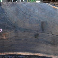 Goby Walnut Oregon Black Walnut Slab 022315-04