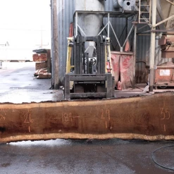 Goby Walnut Products Green Slabs Oregon White Oak Slab 022718-01