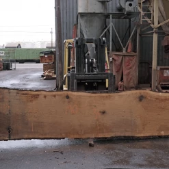 Goby Walnut Products Green Slabs Oregon White Oak Slab 022718-06