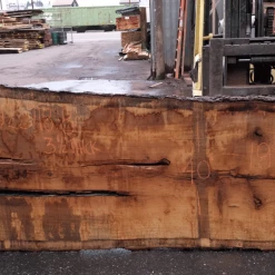 Goby Walnut Products Green Slabs Oregon White Oak Slab 022718-08