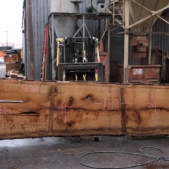 Goby Walnut Products Oregon White Oak Slab 022718-09