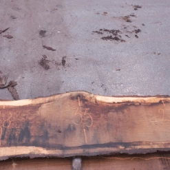 Goby Walnut Products Oregon White Oak Slab 022718-05 Green Slabs